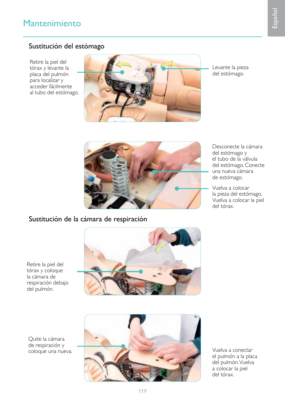 Mantenimiento | Laerdal Resusci Anne Simulator User Manual | Page 119 / 124