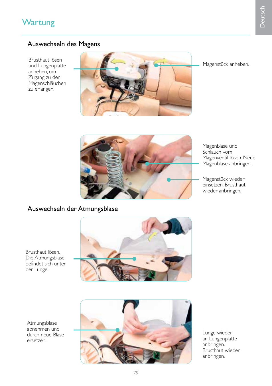 Wartung | Laerdal Resusci Anne Simulator User Manual | Page 79 / 124