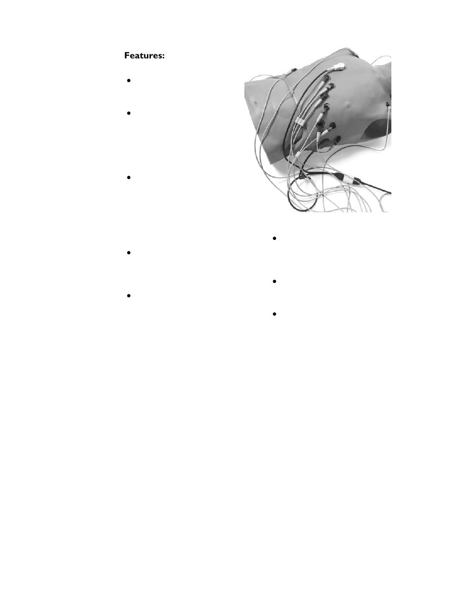 Laerdal Twelve Lead Task Trainer User Manual | Page 6 / 16