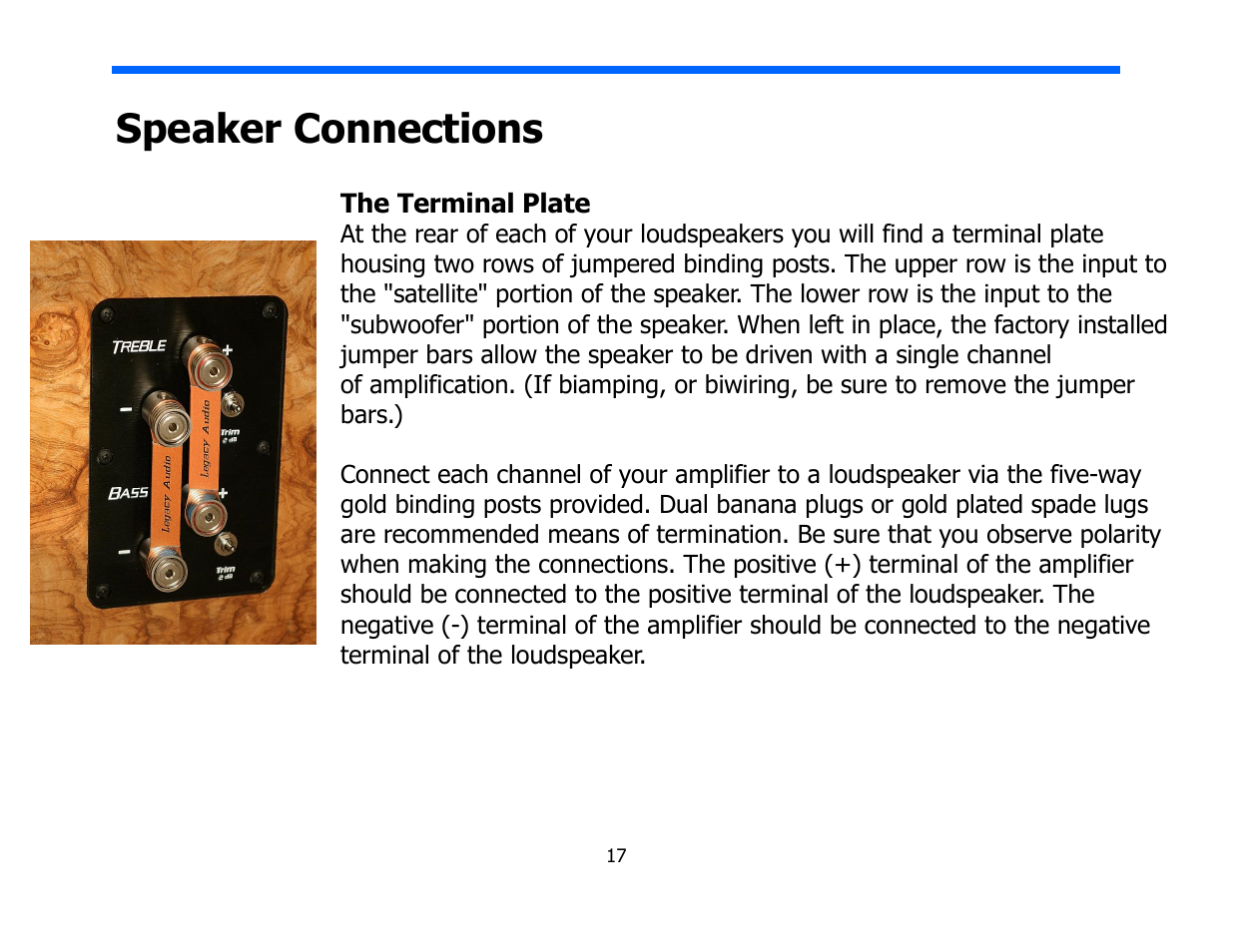 Speaker connections | Legacy Audio Focus SE User Manual | Page 17 / 28