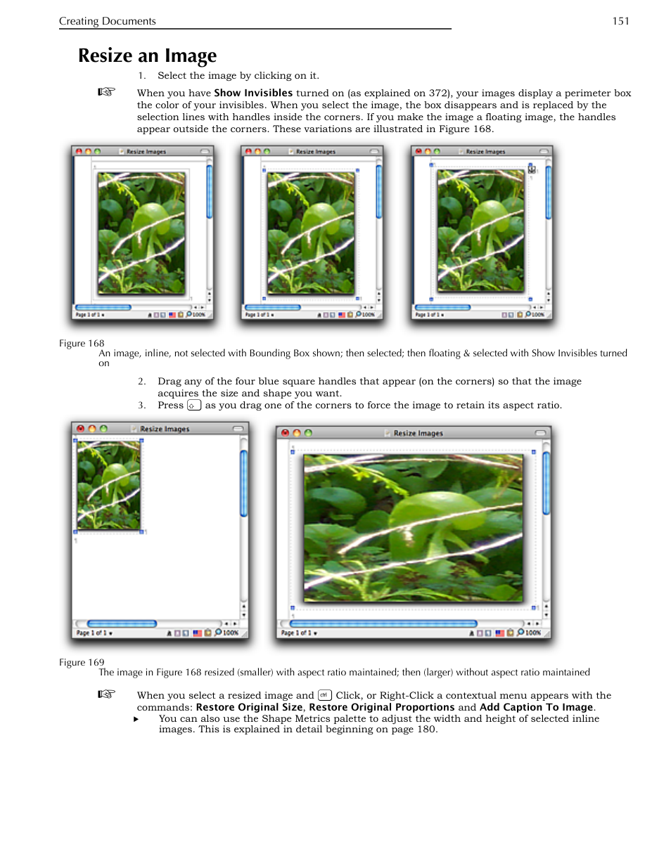 Resize an image | Nisus Writer Pro User Manual | Page 171 / 525