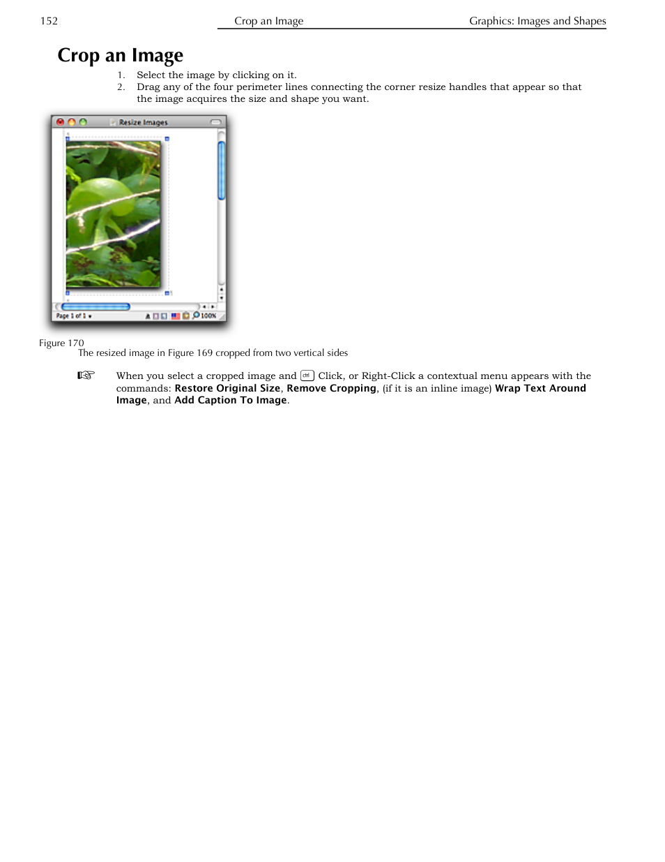 Crop an image | Nisus Writer Pro User Manual | Page 172 / 525