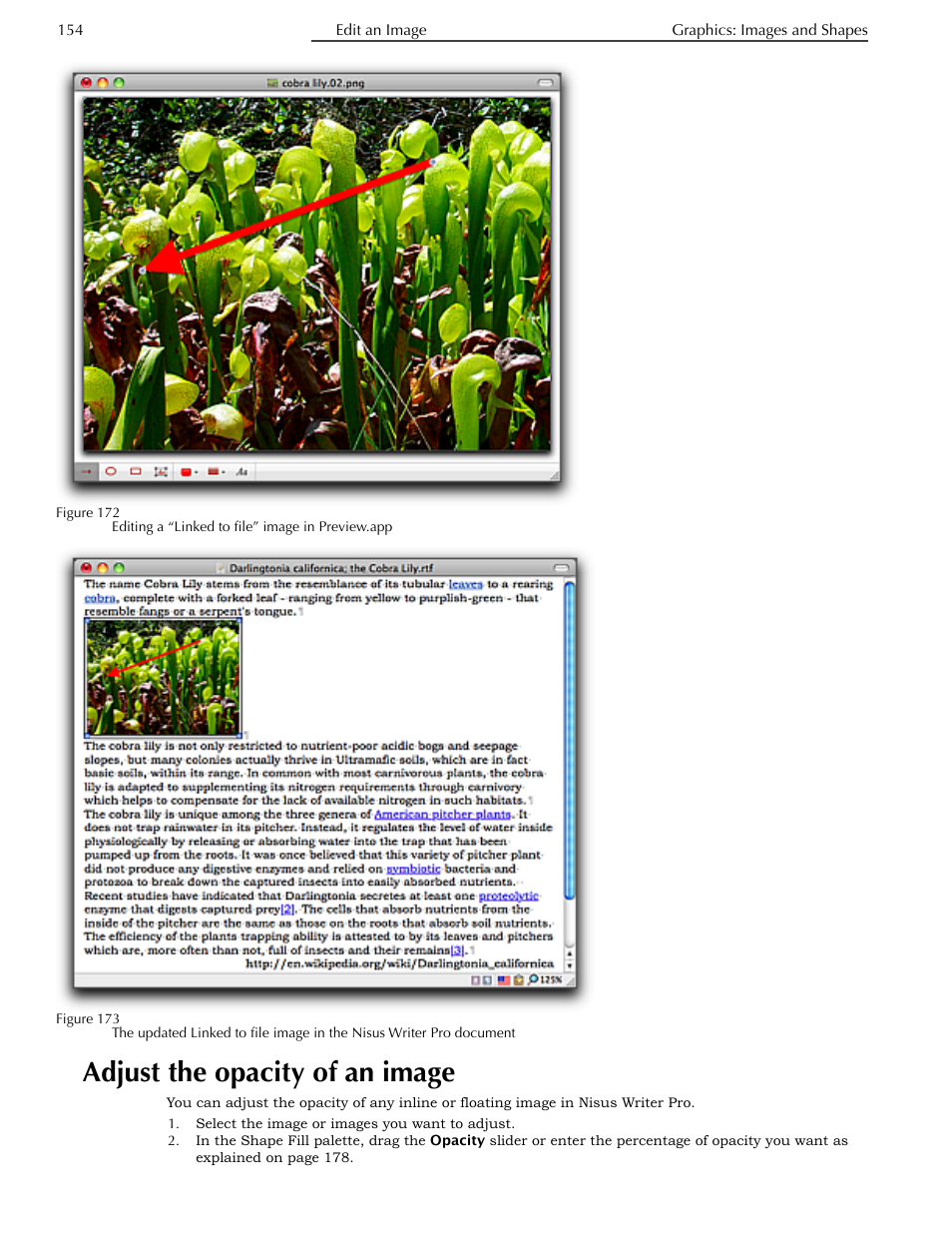 Adjust the opacity of an image | Nisus Writer Pro User Manual | Page 174 / 525