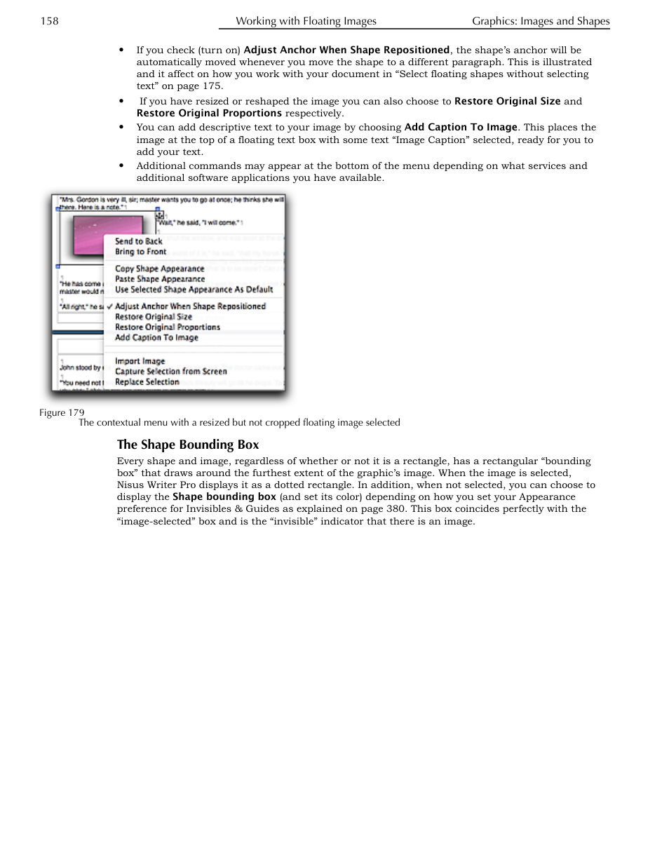 The shape bounding box | Nisus Writer Pro User Manual | Page 178 / 525