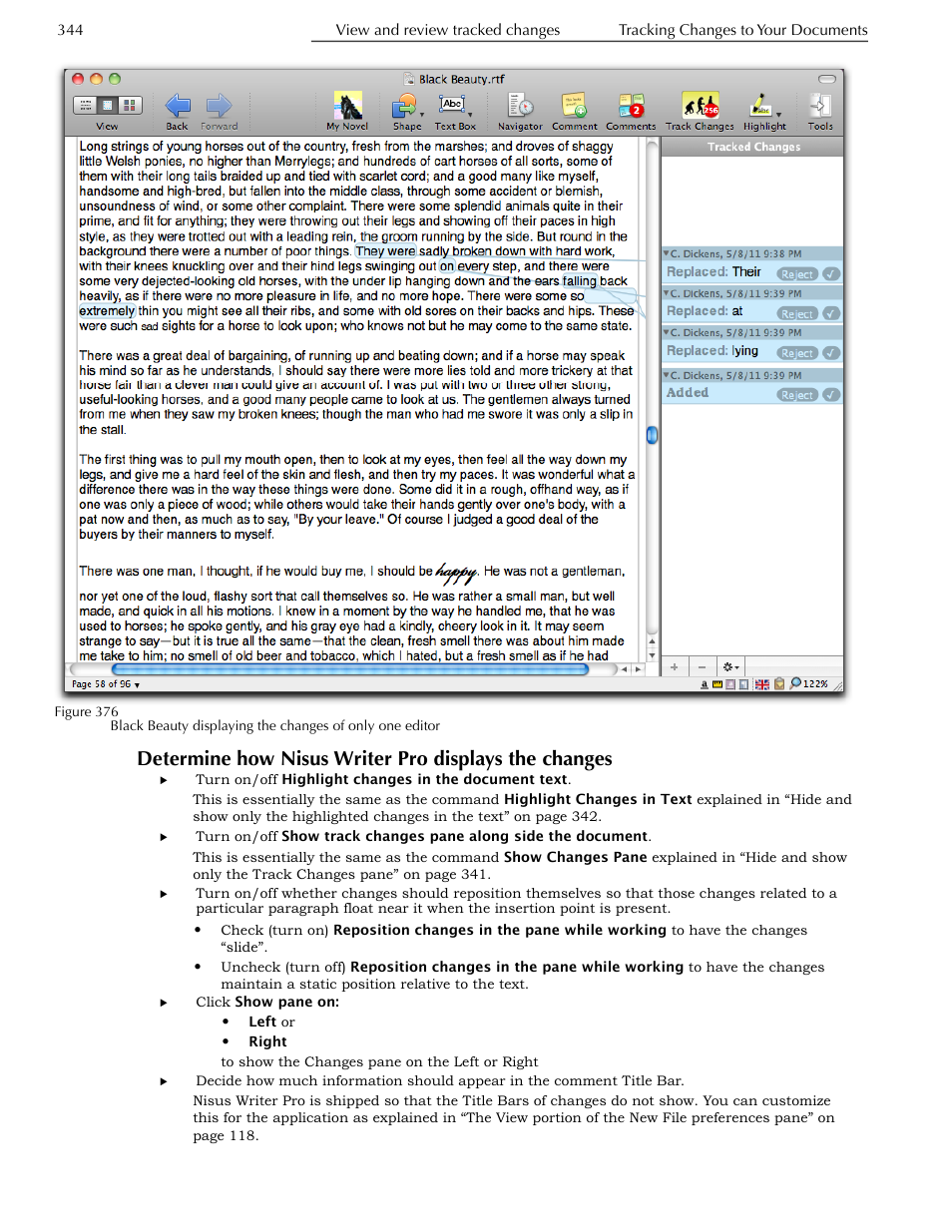 Changes, Figure 376 | Nisus Writer Pro User Manual | Page 364 / 525