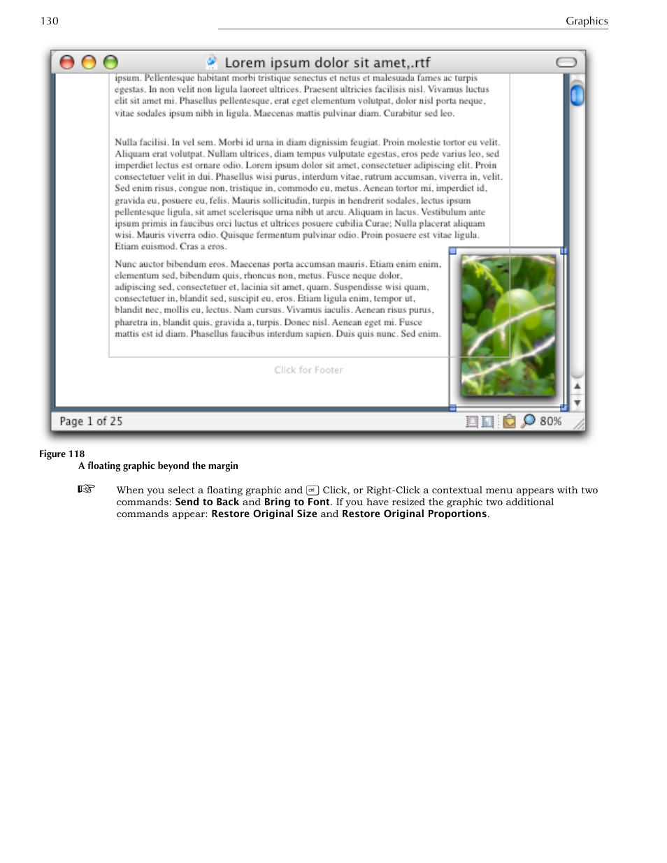 Nisus Writer Express User Manual | Page 150 / 316