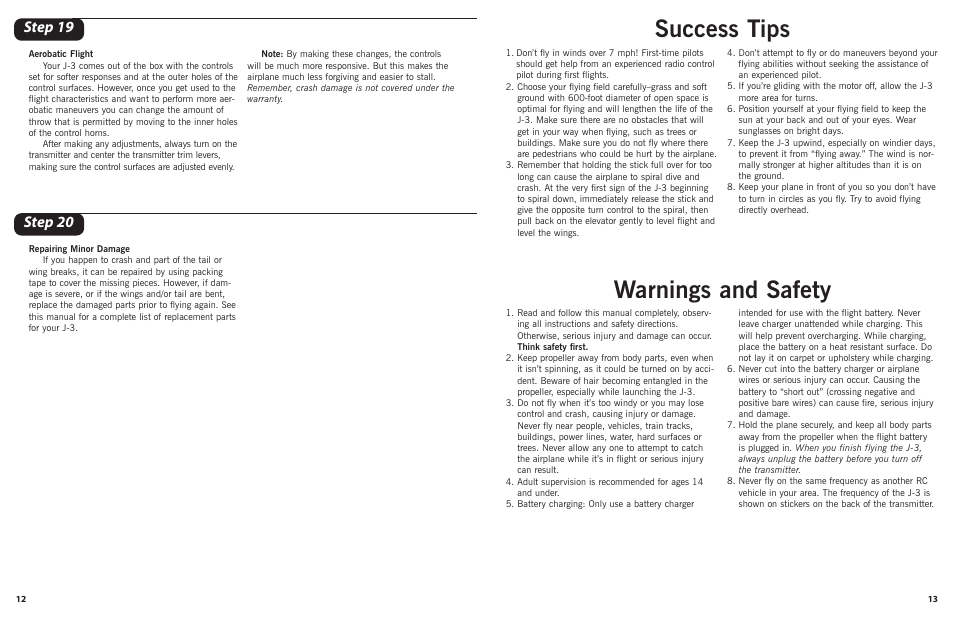 Warnings and safety success tips, Step 19, Step 20 | ParkZone PKZ1100 User Manual | Page 7 / 8