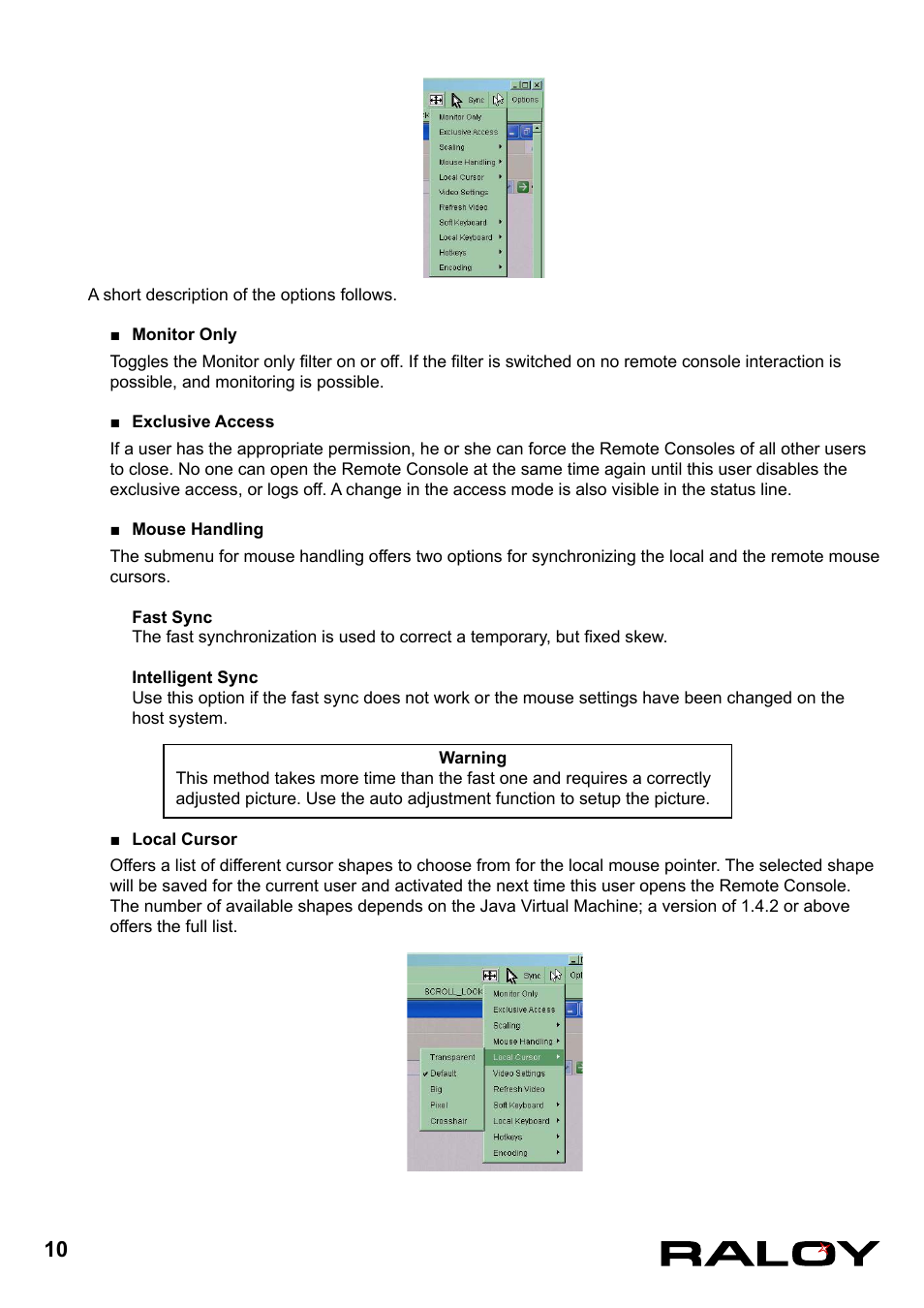Raloy IP Functions for KVM User Manual | Page 13 / 44