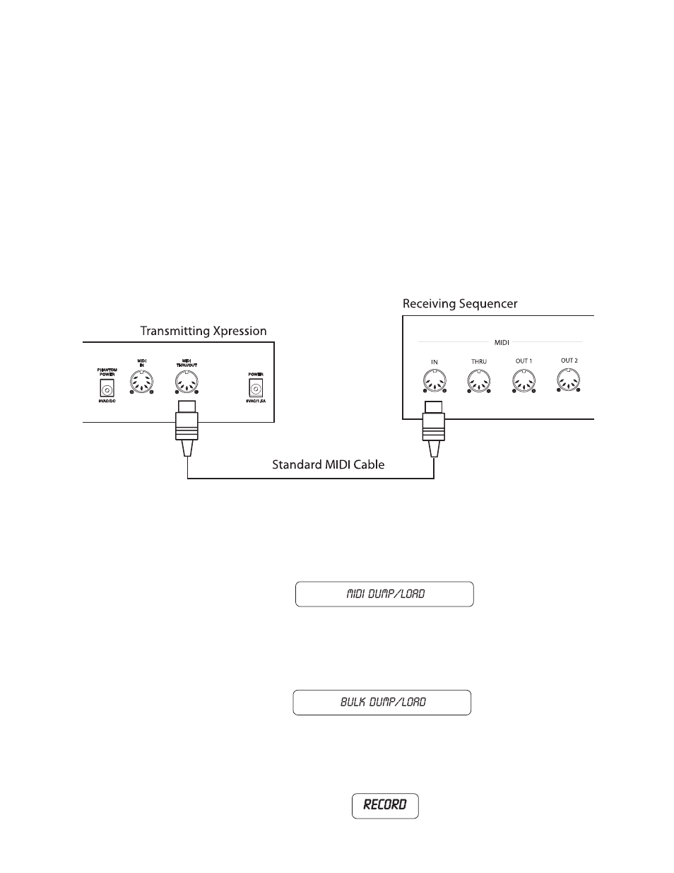 Record | Rocktron Xpression User Manual | Page 59 / 76