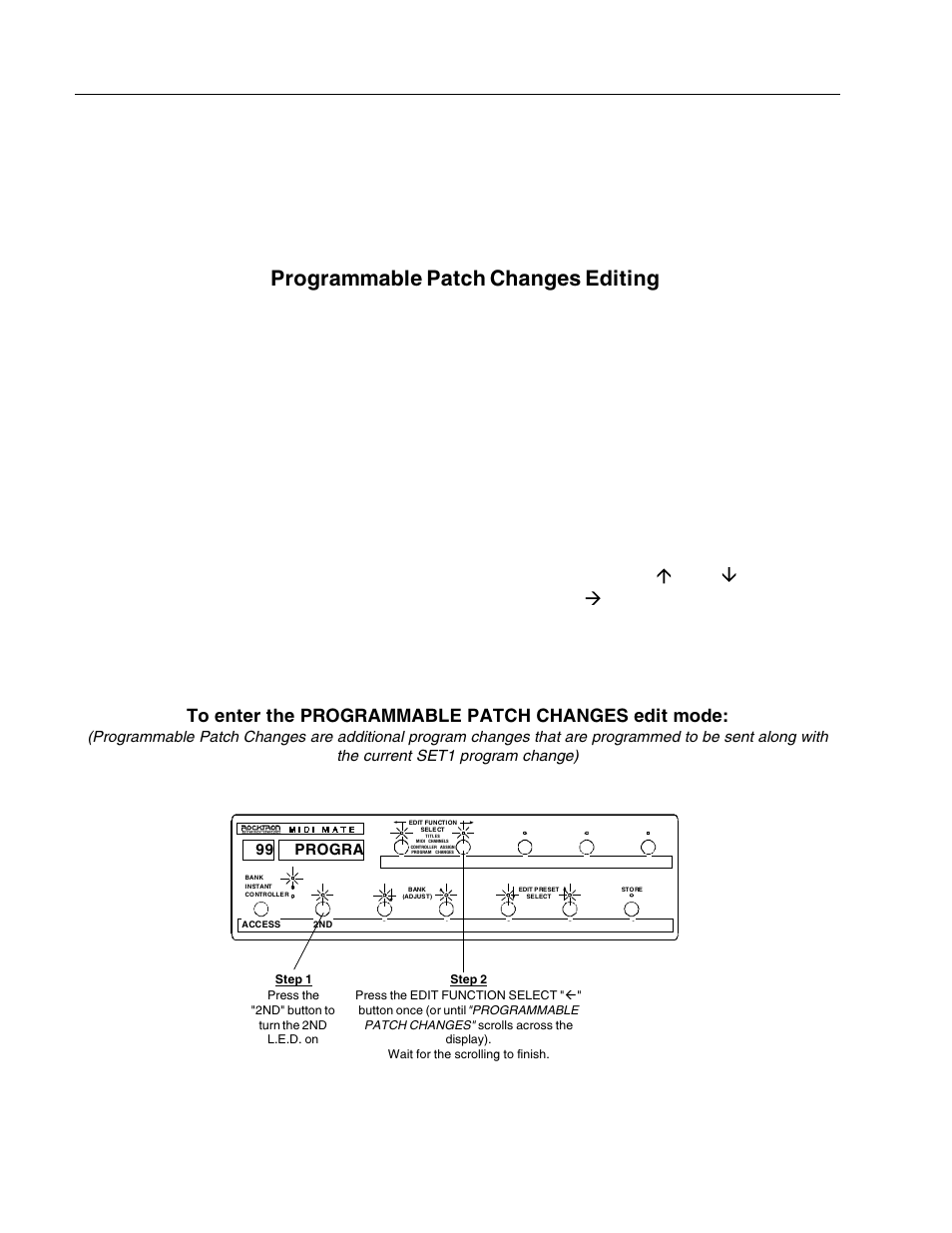 Programmable patch changes editing, Progra 99 | Rocktron MIDI Mate User Manual | Page 27 / 32