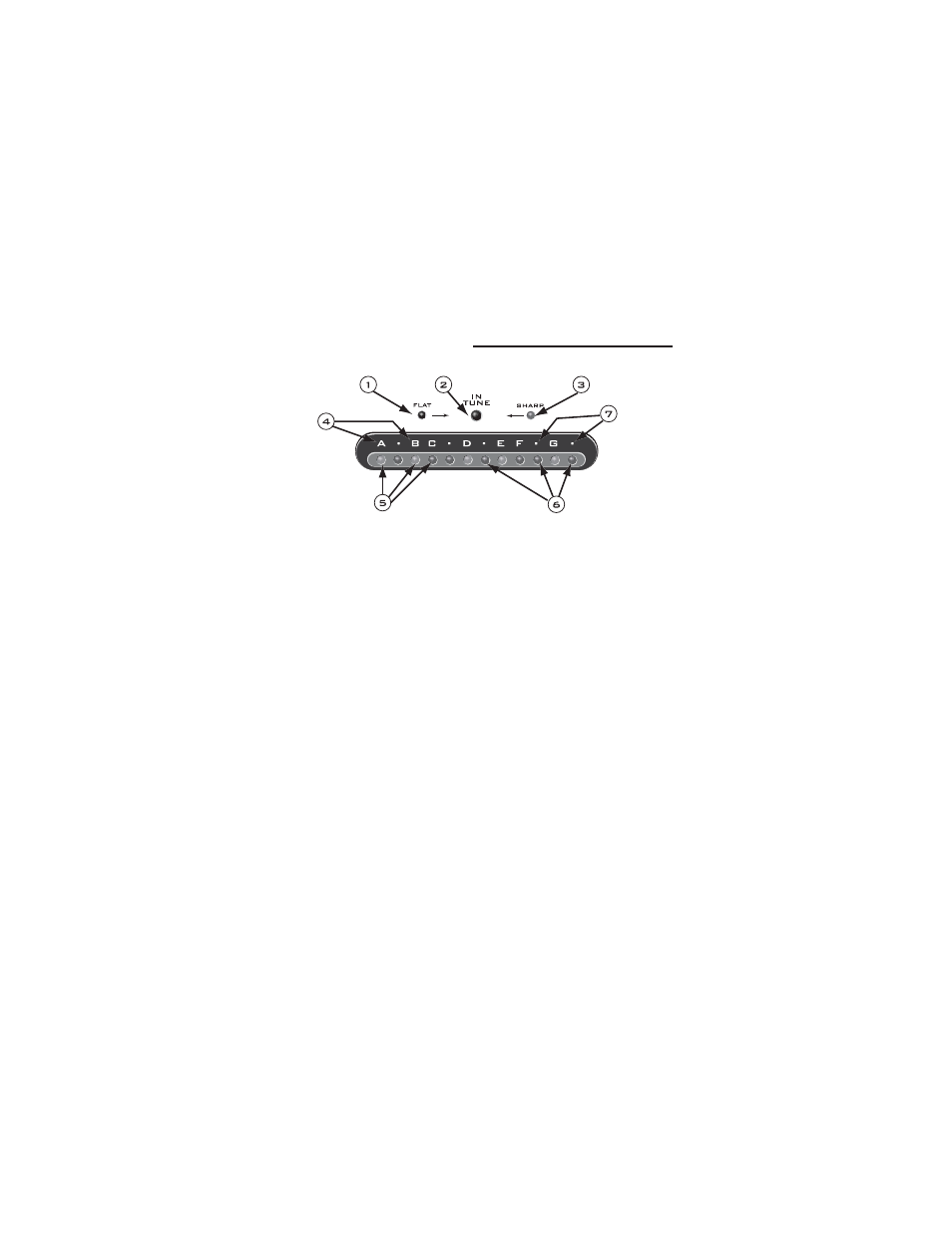 Led functions (detailed) | Rocktron X-Tune User Manual | Page 12 / 20