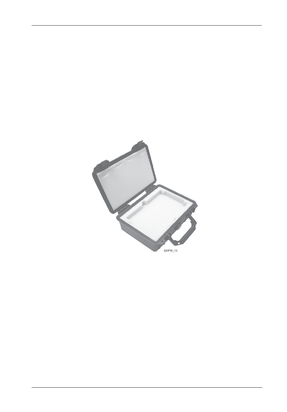 Appendix b - optional accessories, Carrying case | StorCase Technology DE50 User Manual | Page 24 / 27