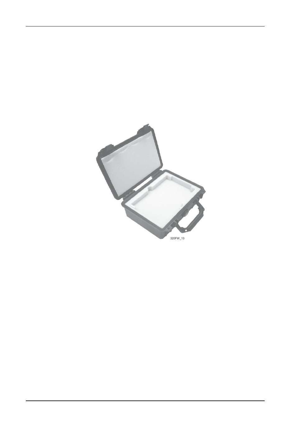 Carry case | StorCase Technology DX115 User Manual | Page 31 / 33