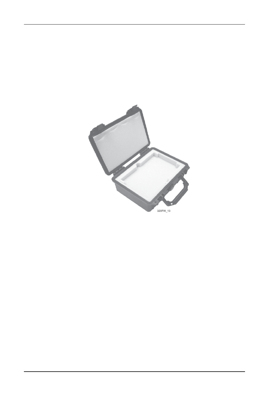 Appendix b - optional accessories, Carrying case | StorCase Technology DX115 User Manual | Page 29 / 31