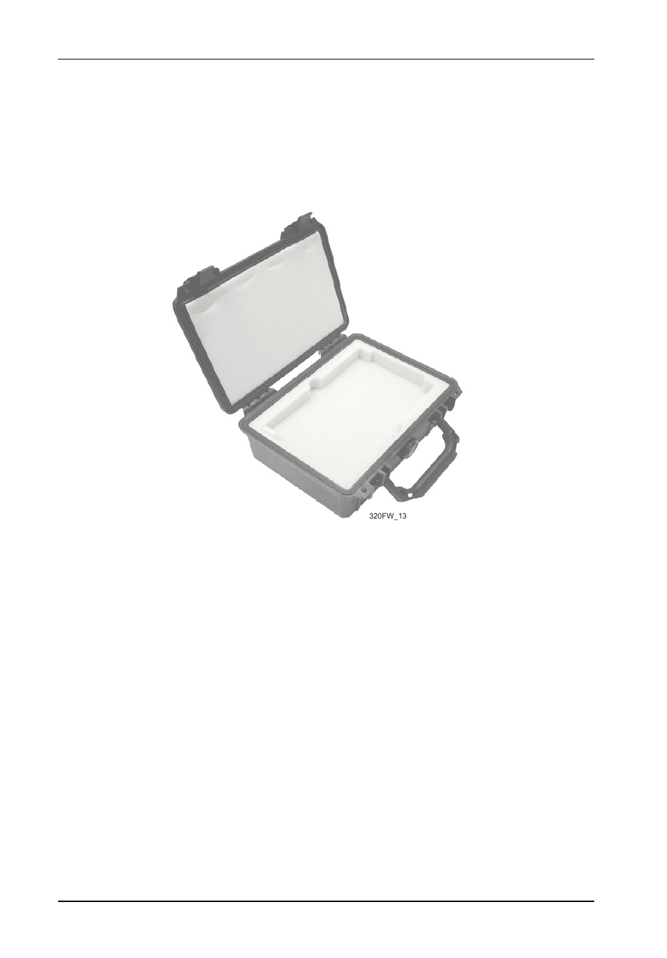 Appendix b - optional accessories, Carrying case | StorCase Technology DE110 User Manual | Page 25 / 29