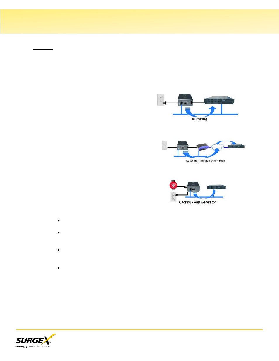 Autoping, V. web server, Continued) | SurgeX SA-82 User Manual | Page 12 / 26