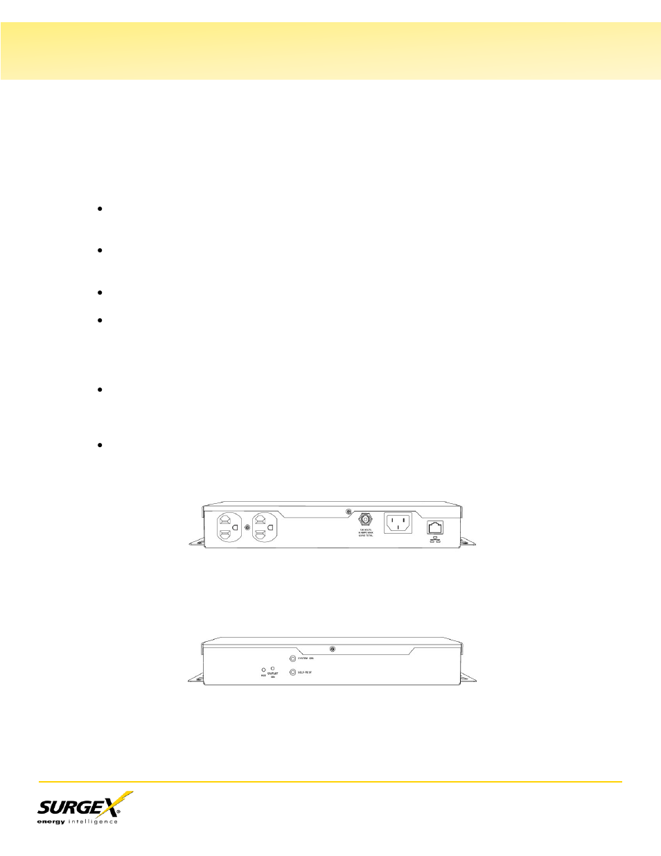I. introduction | SurgeX SA-82 User Manual | Page 3 / 26