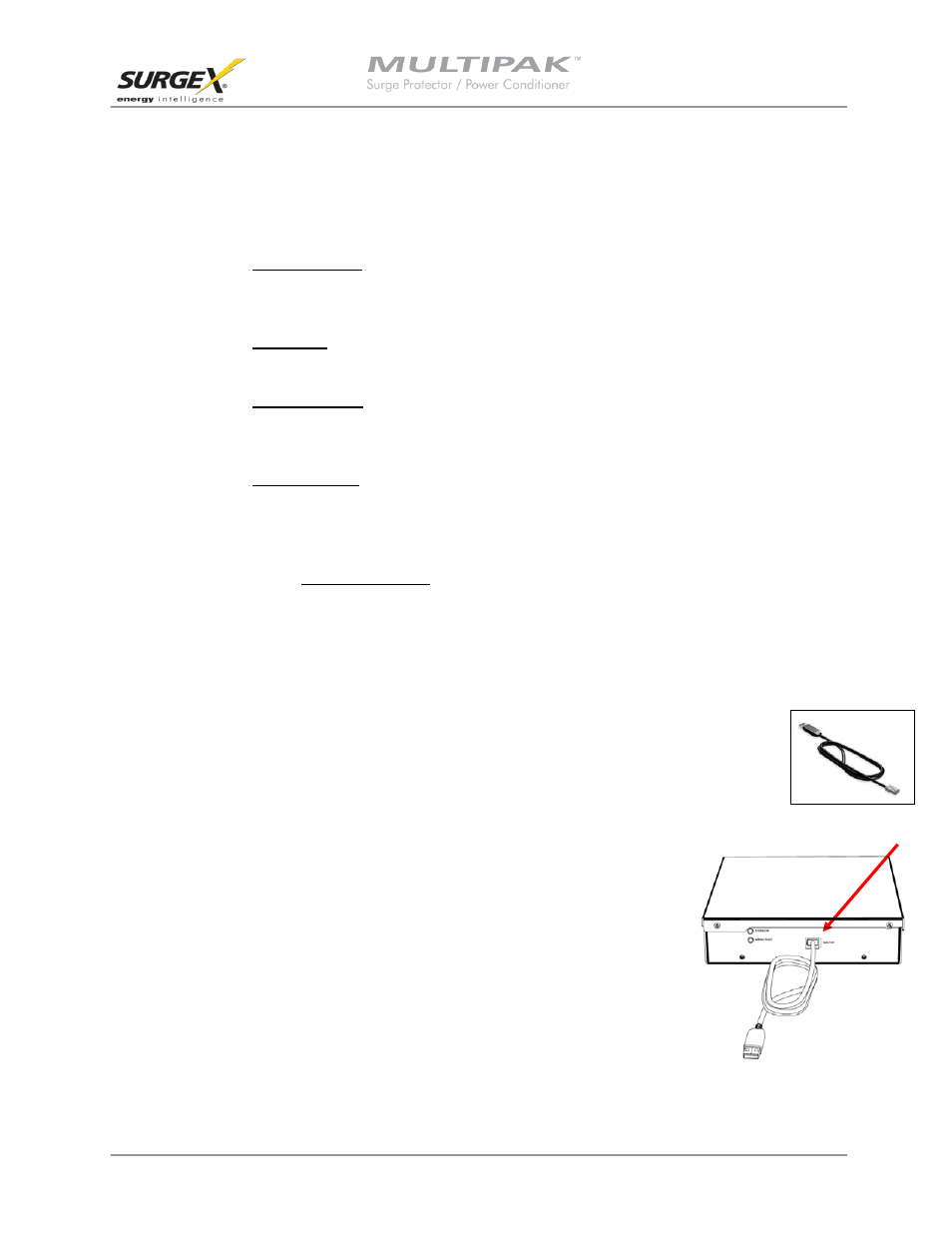 Iii. hardware, Multipak, A. normal operation | B. wiring fault, C. abnormal voltage, D. clearing memory, Data interface cable, A. overview | SurgeX SX-DS-156 User Manual | Page 10 / 23