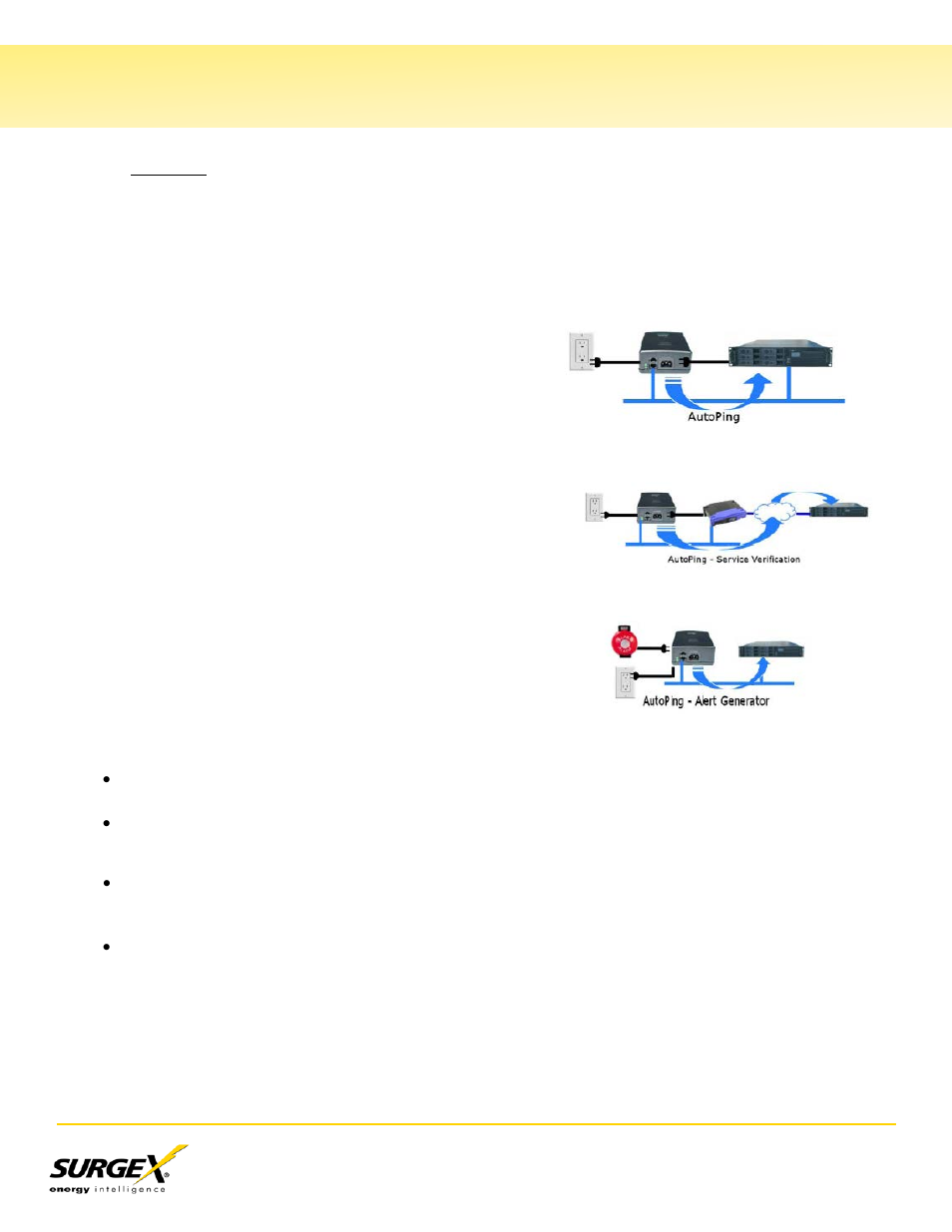 Autoping, Vi. web server, Continued) | SurgeX CM-1115-RT-AR User Manual | Page 15 / 31