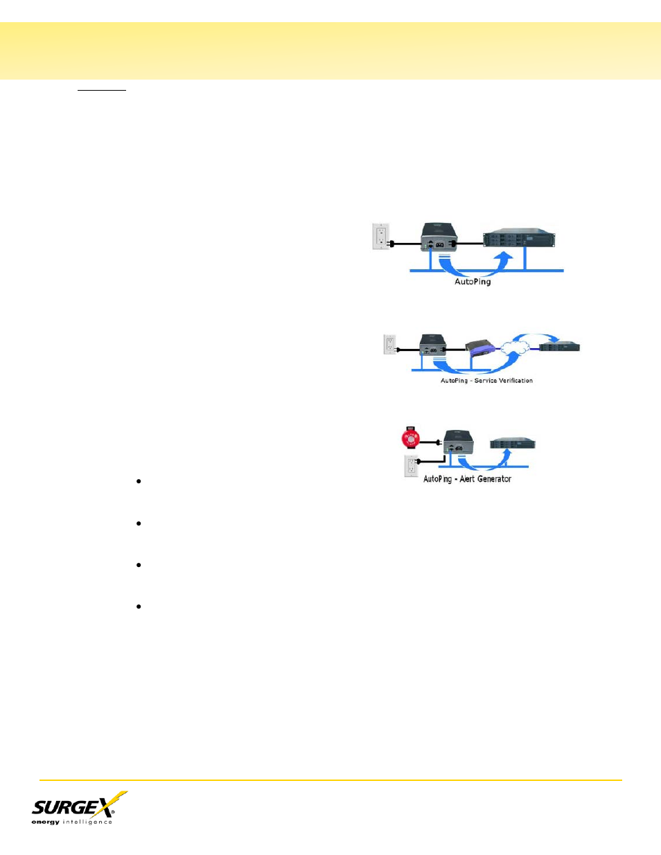 Autoping, Vi. web server, Continued) | SurgeX SX-20NE-RT-AR User Manual | Page 15 / 29