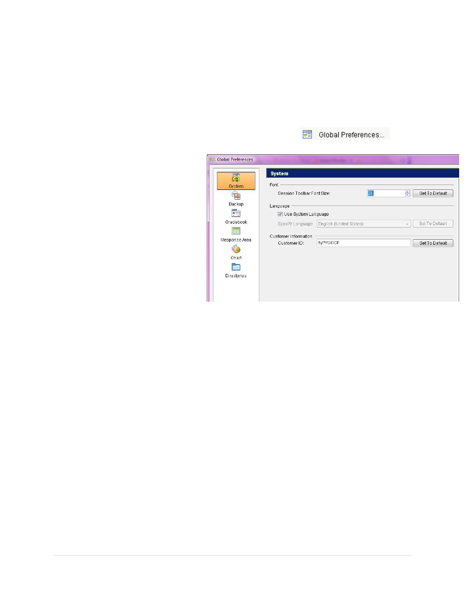 Global preferences, System, Font | Language, Customer information | Turning Technologies Response User Manual | Page 25 / 88