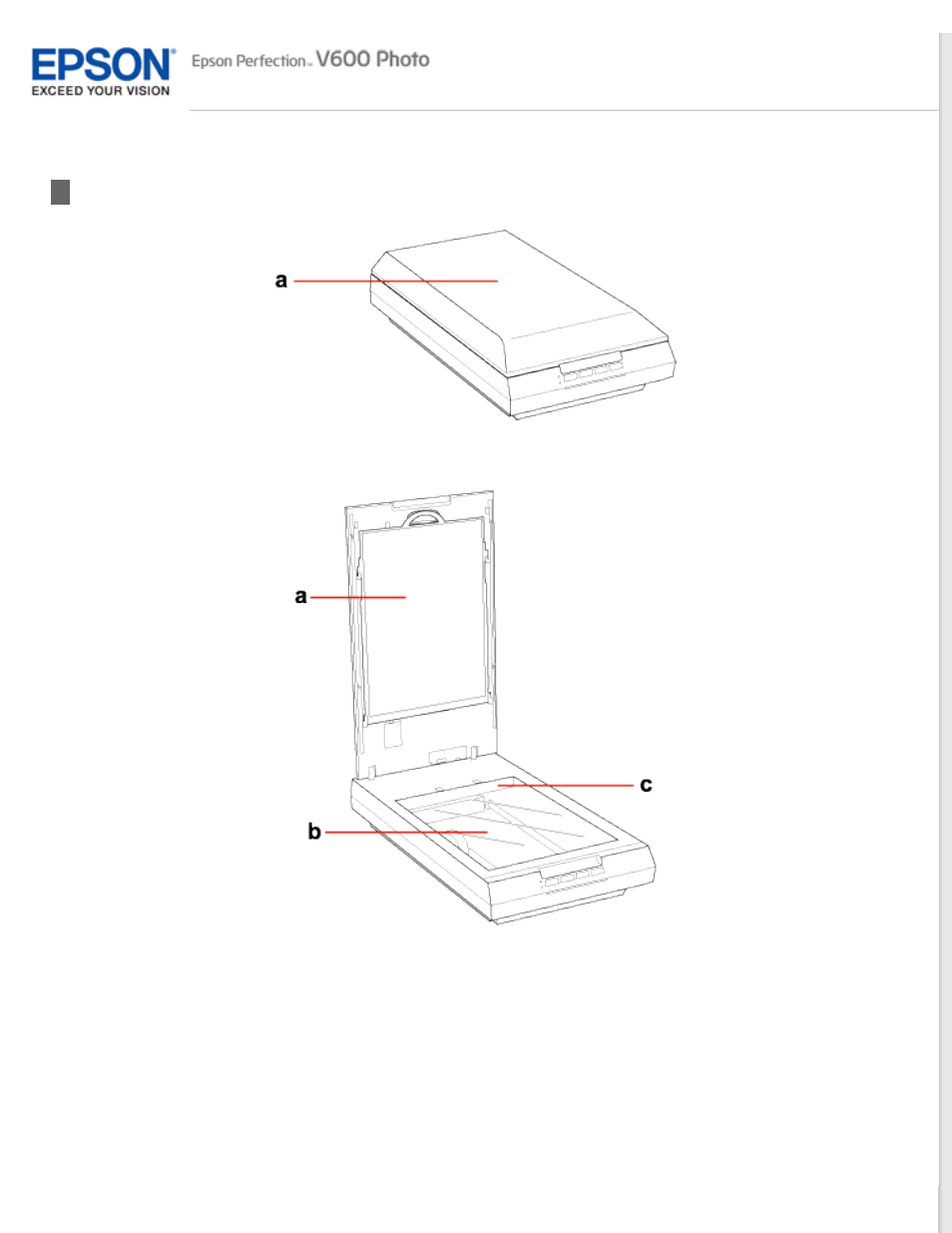 Scanner parts | Epson PERFECTION V600 PHOTO User Manual | Page 20 / 164