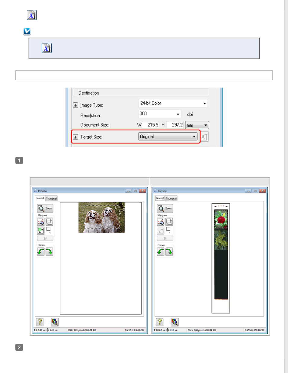 Selecting the scan size in professional mode | Epson PERFECTION V600 PHOTO User Manual | Page 70 / 164