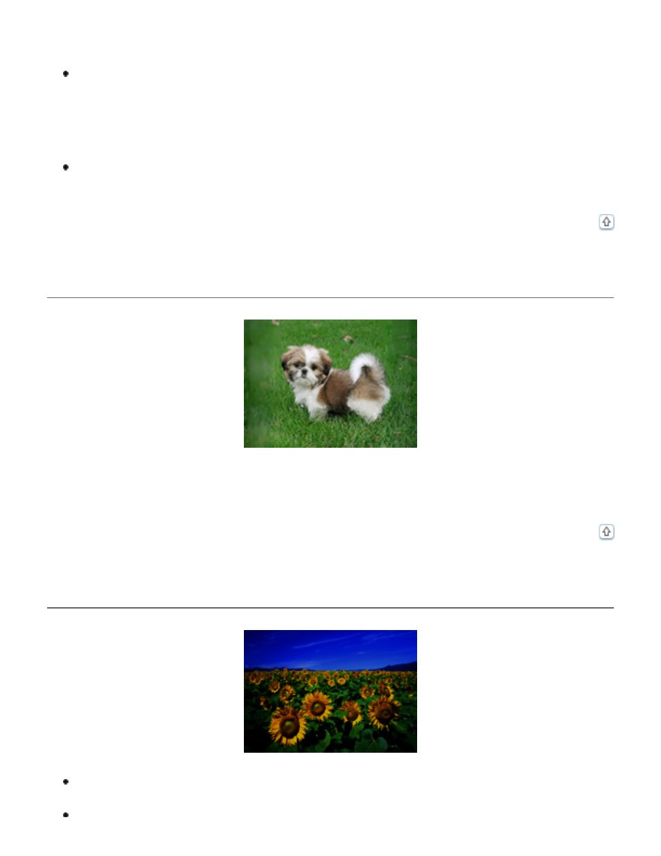 Your scanned image is too dark | Epson Perfection V500 User Manual | Page 218 / 240
