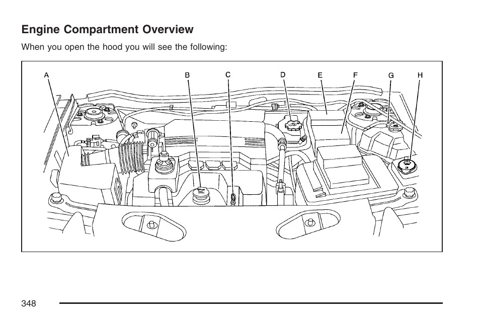 Engine compartment overview | Pontiac 2007 Torrent User Manual | Page 348 / 490