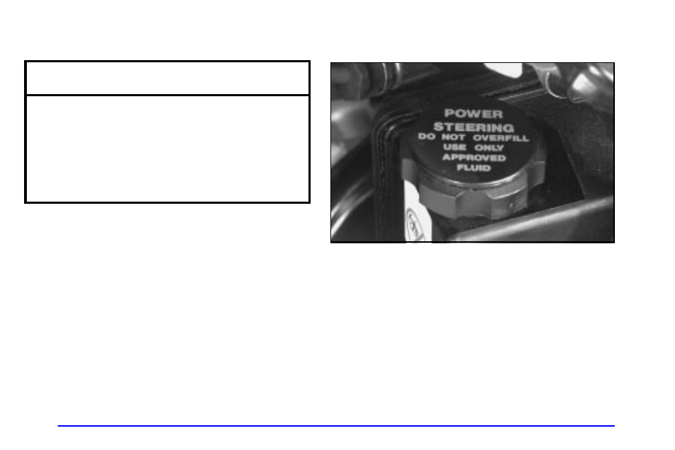 Radiator pressure cap, Power steering fluid, Radiator pressure cap notice | Pontiac 2002 Bonneville User Manual | Page 323 / 427