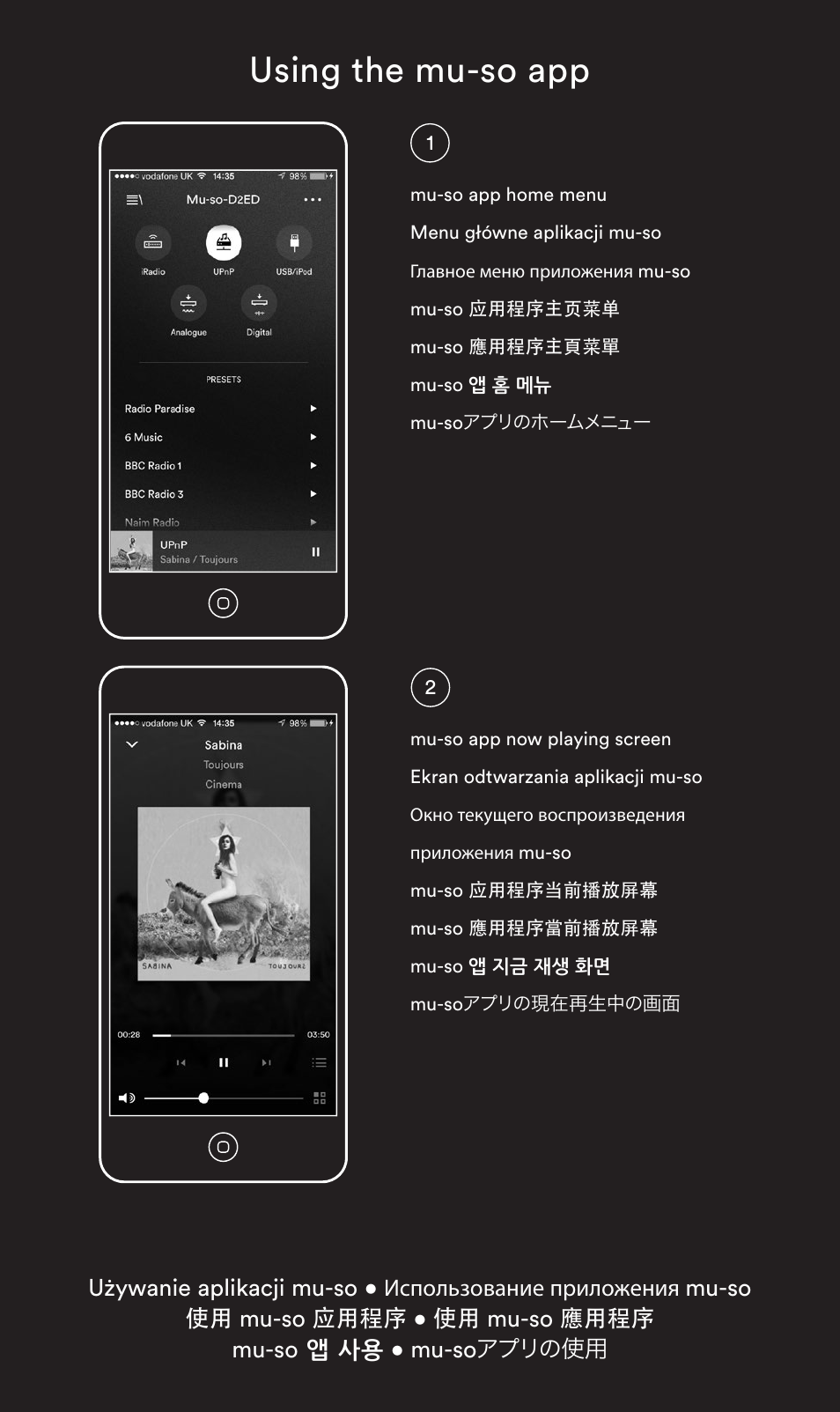 Using the mu-so app | Naim Audio Mu-so User Manual | Page 11 / 20