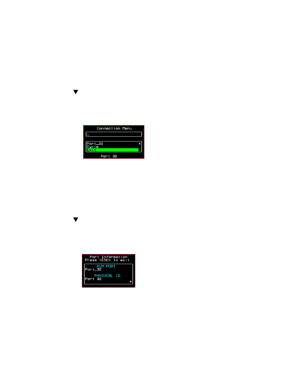 To view connected port information, To configure a ppp connection on a | Cyclades User's Guide User Manual | Page 347 / 506