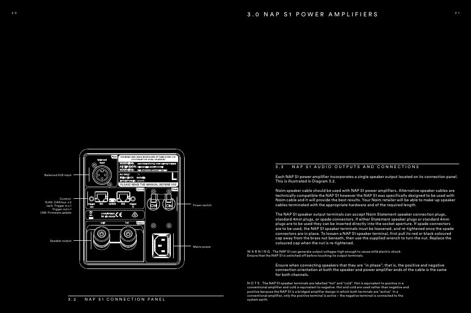 2 nap s1 connection panel, 3 nap s1 audio outputs and connections, 3 . 2 n a p s 1 c o n n e c t i o n p a n e l | Naim Audio NAP S1 User Manual | Page 11 / 20