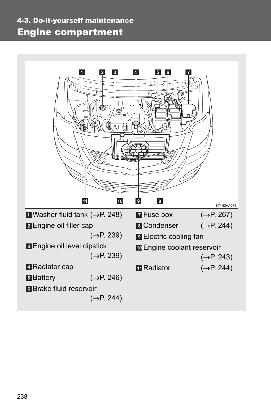 Engine compartment | TOYOTA 2011 Yaris Sedan User Manual | Page 249 / 406