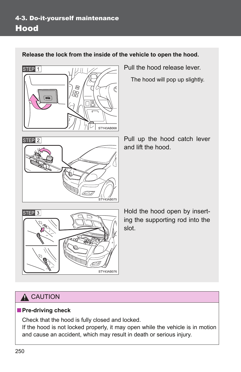 Hood | TOYOTA 2010 Yaris User Manual | Page 261 / 406