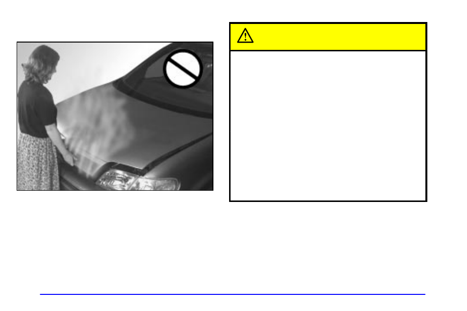 If steam is coming from your engine, Caution | Oldsmobile 2002 Silhouette User Manual | Page 313 / 455