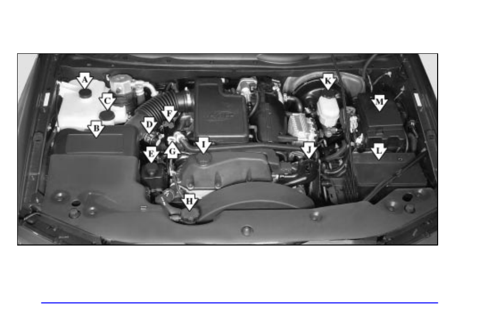 Engine compartment overview | Oldsmobile 2002 Bravada User Manual | Page 299 / 393