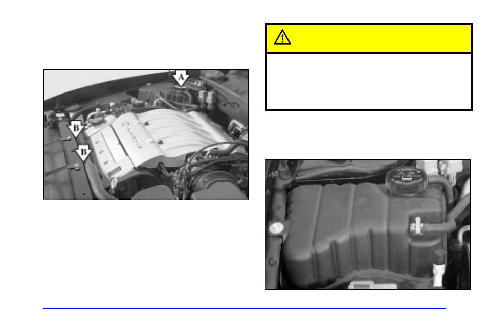 Cooling system, Caution | Oldsmobile 2002 Aurora User Manual | Page 239 / 373