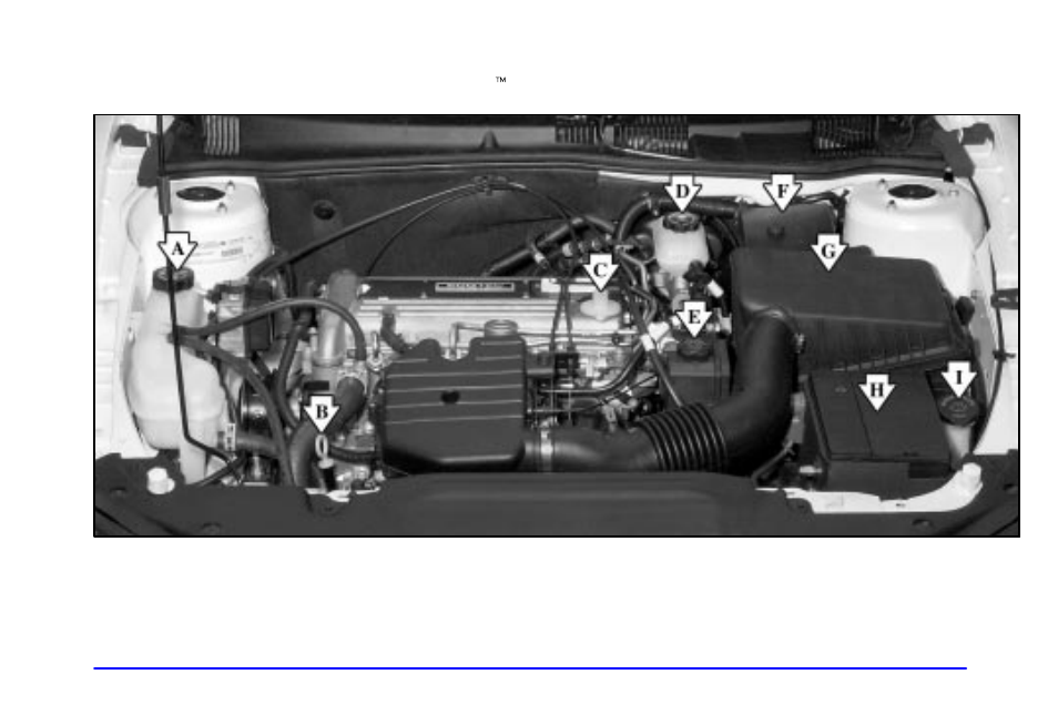 Engine compartment overview | Oldsmobile 2002 Alero User Manual | Page 248 / 343