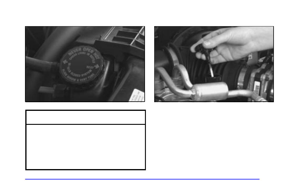 Radiator pressure cap, Power steering fluid, When to check power steering fluid | Radiator pressure cap notice | Oldsmobile 2001 Bravada User Manual | Page 271 / 371