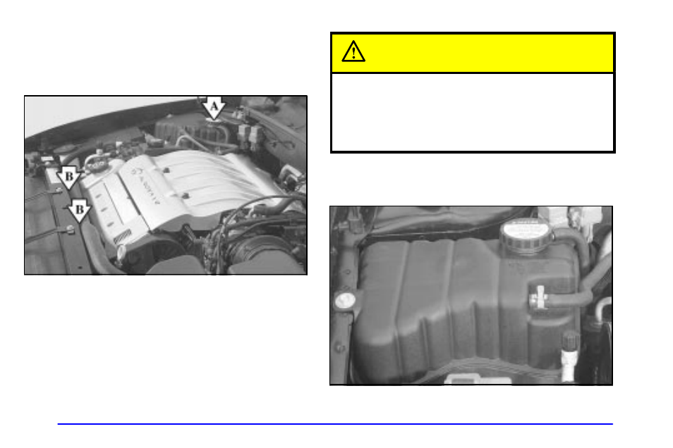 Cooling system, Caution | Oldsmobile 2001 Aurora User Manual | Page 238 / 376