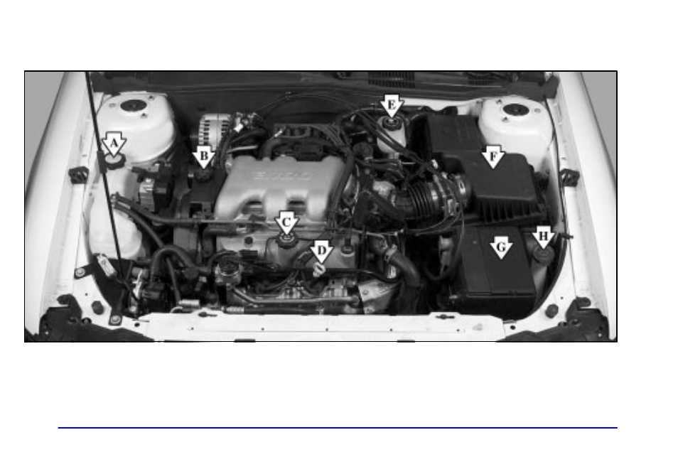 Oldsmobile 1999 Cutlass User Manual | Page 224 / 336