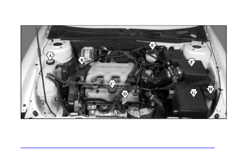 Oldsmobile 1999 Cutlass User Manual | Page 225 / 336