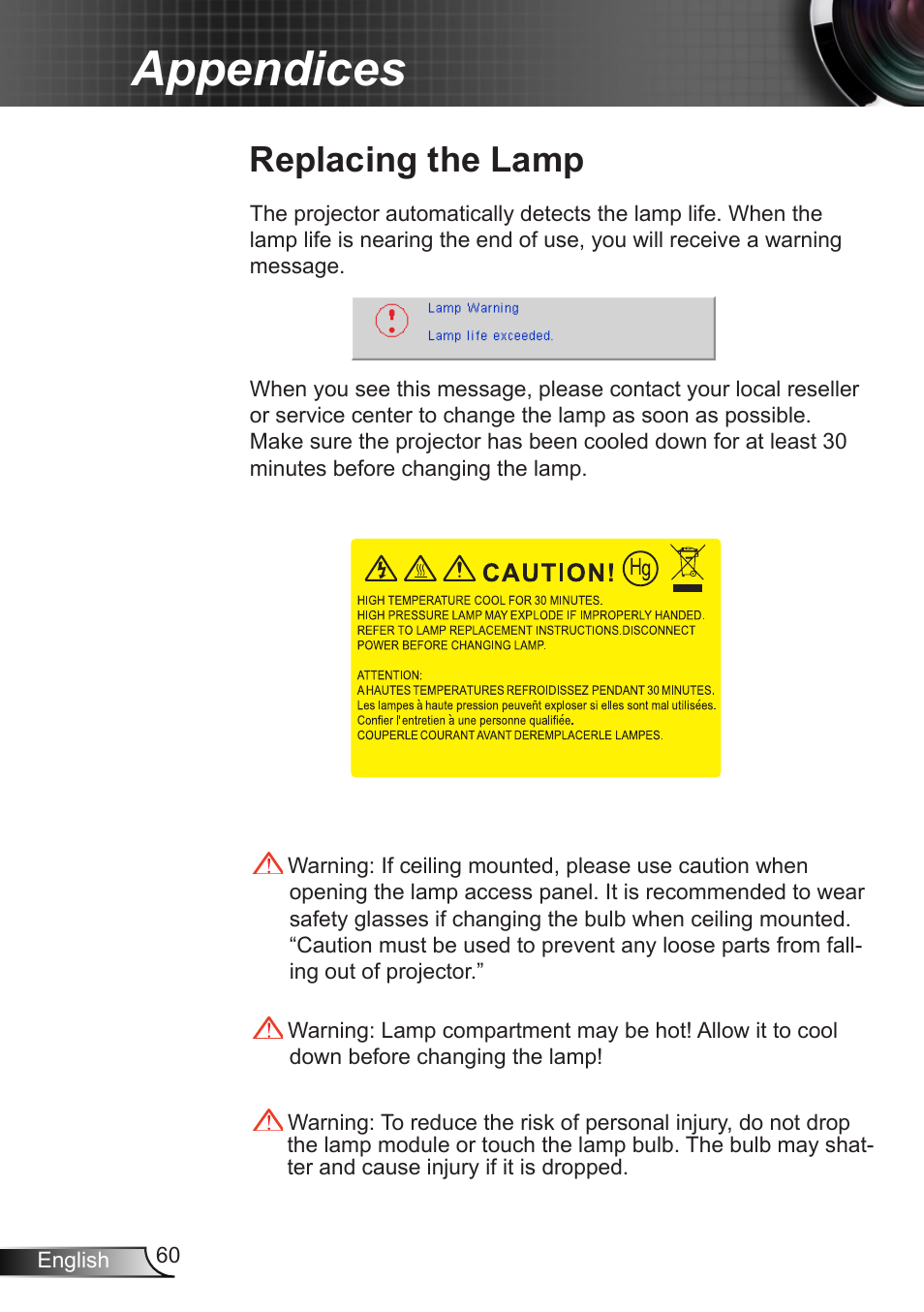 Replacing the lamp, Appendices | Optoma W350 User Manual | Page 60 / 74