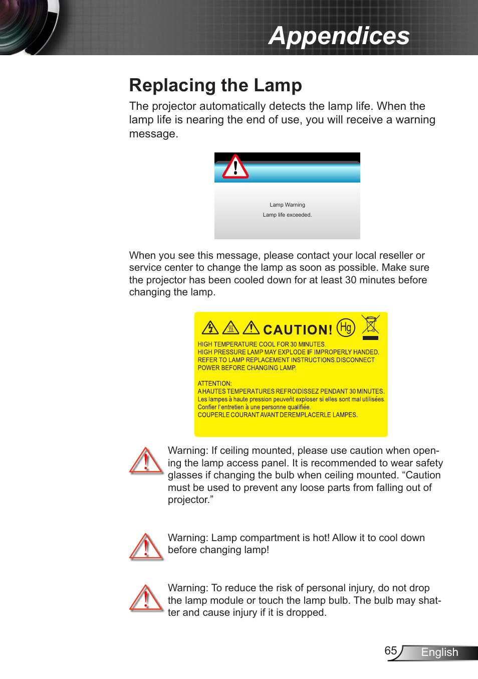 Replacing the lamp, Appendices | Optoma W401 User Manual | Page 65 / 79