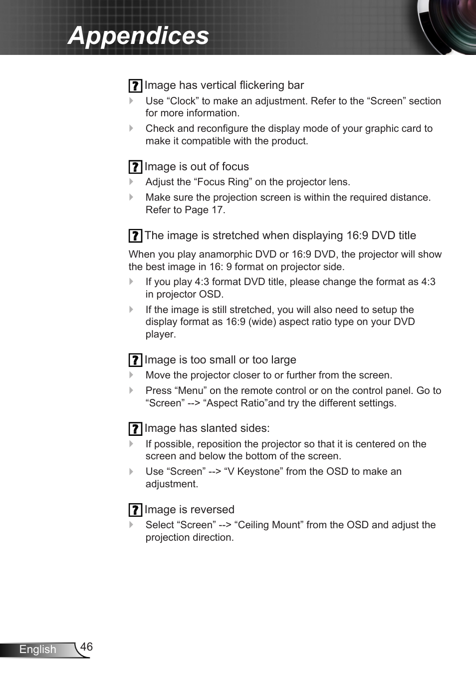 Appendices | Optoma X307USTi User Manual | Page 46 / 61