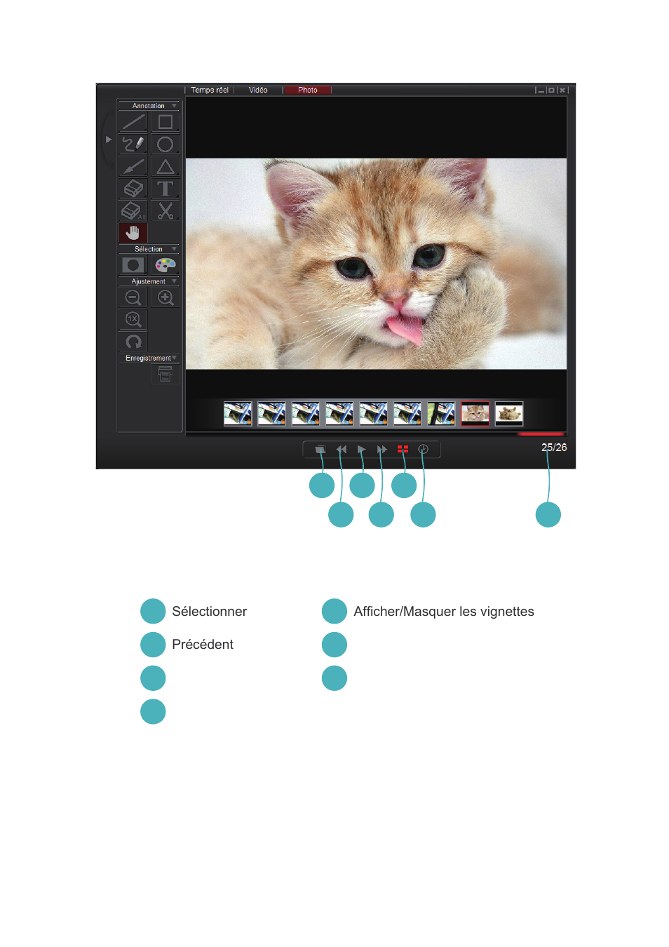 Optoma DC350 User Manual | Page 37 / 60