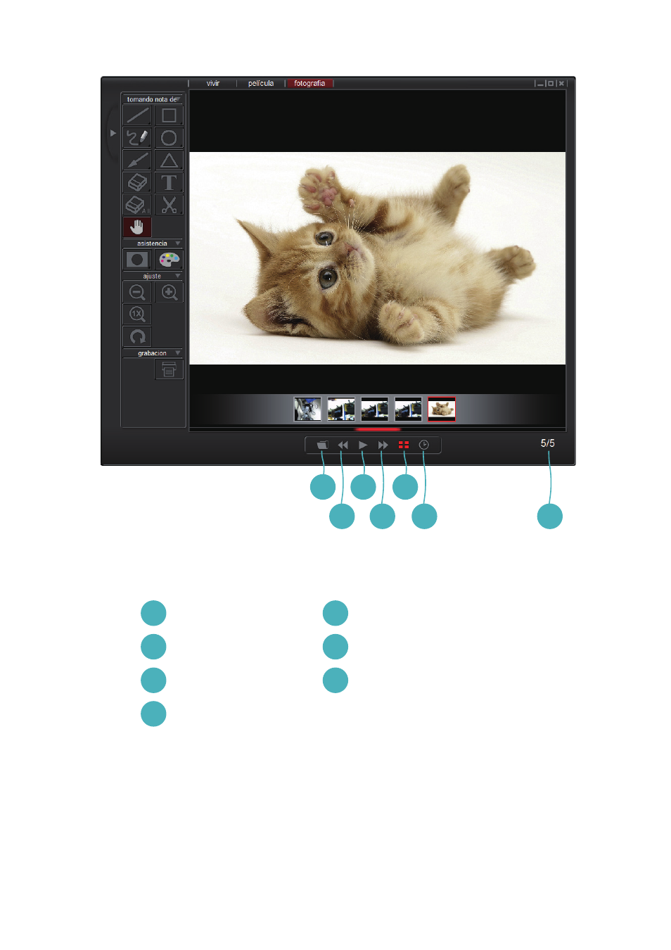 Optoma DC350 User Manual | Page 52 / 60