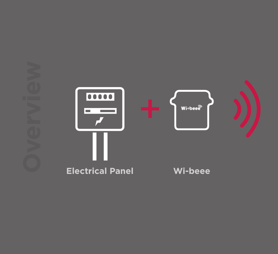 Ov ervie w | CIRCUTOR Wi-beee Series User Manual | Page 4 / 32
