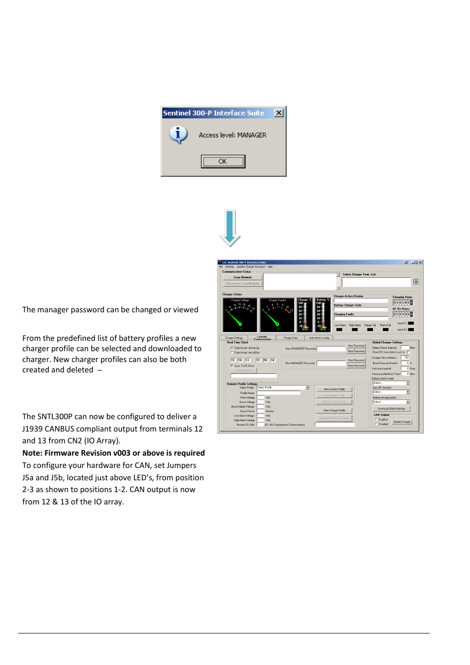 Manger view overview, Manager password, Remote profile settings | Can output | Computronic Controls Sentinel 300P User Manual | Page 12 / 22